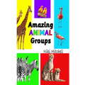 Amazing Animal Groups: A Fun Exploration of Nature LARGE PRINT: A Fun Exploration of Nature