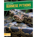 Burmese Pythons