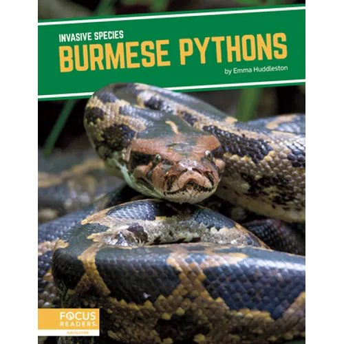 Burmese Pythons