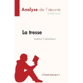 La tresse de Laetitia Colombani (Analyse de l'oeuvre): Résumé complet et analyse détaillée de l'oeuvre