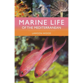 Marine Life of the Mediterranean