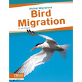 Bird Migration