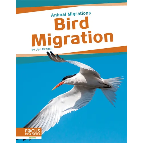 Bird Migration