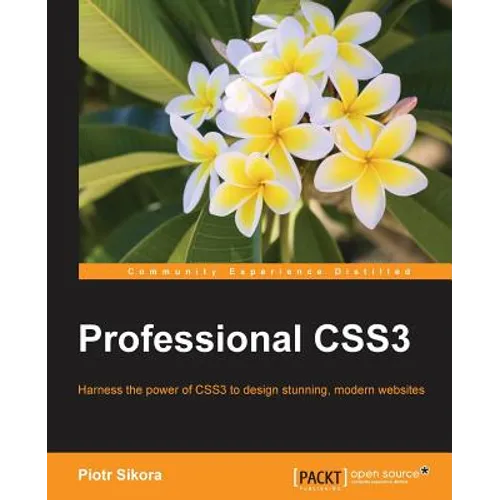 Professional CSS3