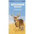 Wisconsin Wildlife: A Folding Pocket Guide to Familiar Animals