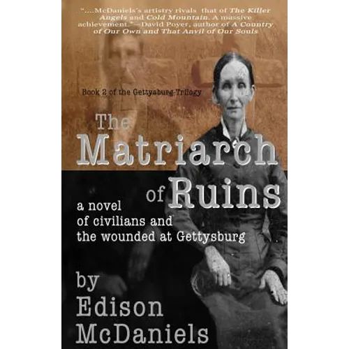 The Matriarch of Ruins: A Novel of Civilians and the Wounded at Gettysburg