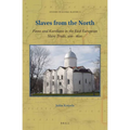 Slaves from the North: Finns and Karelians in the East European Slave Trade, 900-1600