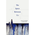 The Space Between Us: Poems and Paintings