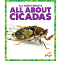 All about Cicadas