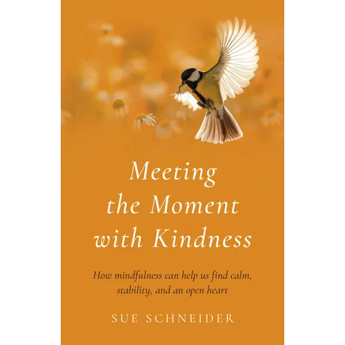 Meeting the Moment with Kindness