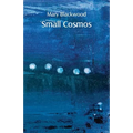 Small Cosmos