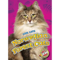 Norwegian Forest Cats