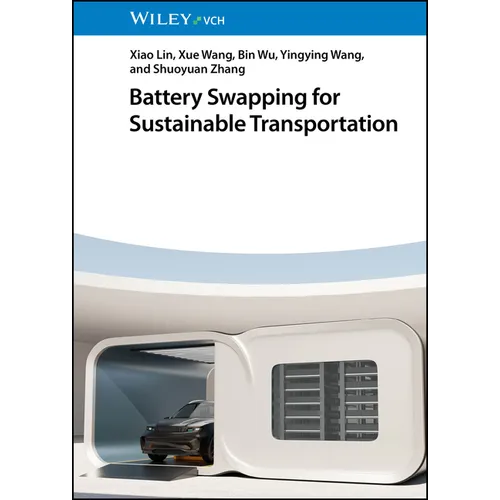 Battery Swapping for Sustainable Transportation