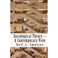 Sociological Theory - A Contemporary View: How to Read, Criticize and Do Theory
