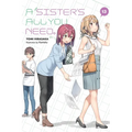 A Sister's All You Need., Vol. 13 (Light Novel): Volume 13
