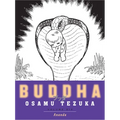Buddha 6: Ananda