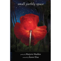 Small Earthly Space