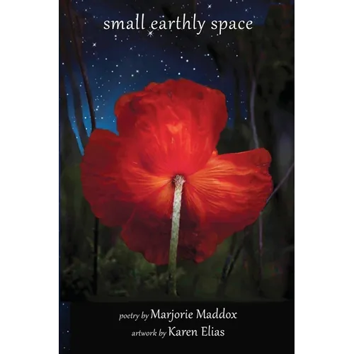 Small Earthly Space