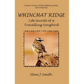 Whinchat Ridge: Life Secrets of a Travelling Songbird