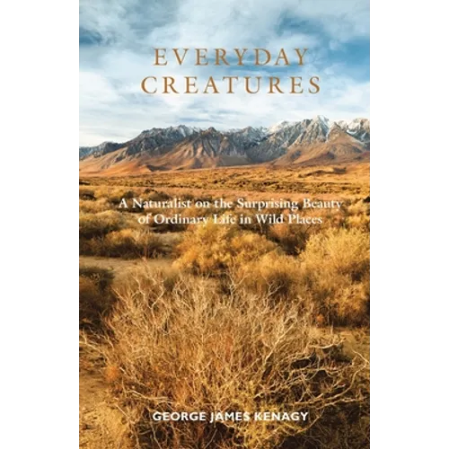 Everyday Creatures: A Naturalist on the Surprising Beauty of Ordinary Life in Wild Places