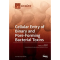 Cellular Entry of Binary and Pore-Forming Bacterial Toxins