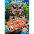 Screech Owls