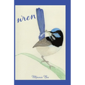 Wren