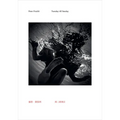 Peter Fischli: Tuesday Till Sunday