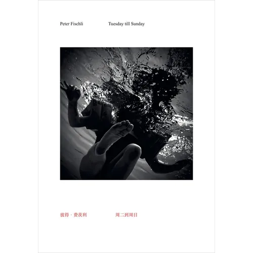 Peter Fischli: Tuesday Till Sunday