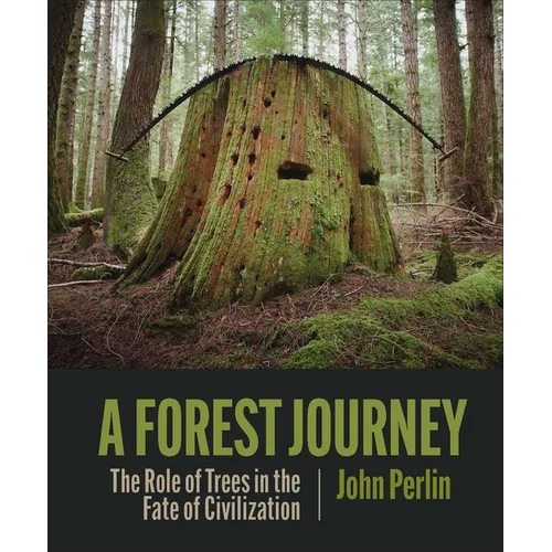 A Forest Journey: The Role of Trees in the Fate of Civilization