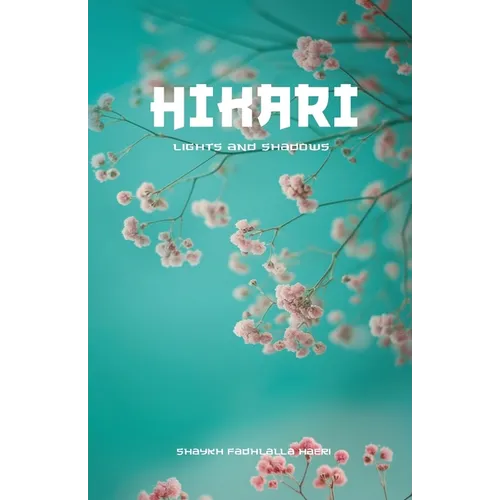 Hikari: Lights and Shadows
