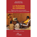 La Télévision au Cameroun: Regards croisés sur les pratiques et les usages dans un système sociotechnique