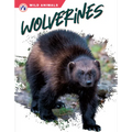 Wolverines