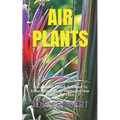 Air Plants: Every Detailed Thing You Need To Know About The Air Plants And How To Care For Them