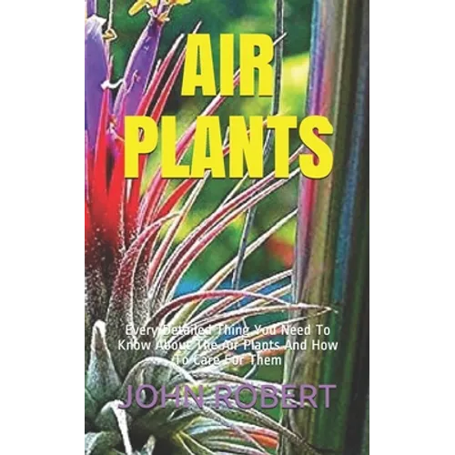 Air Plants: Every Detailed Thing You Need To Know About The Air Plants And How To Care For Them