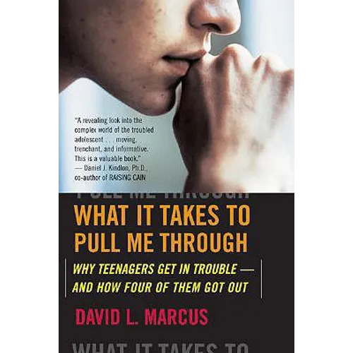 What It Takes to Pull Me Through: Why Teenagers Get in Trouble and How Four of Them Got Out