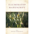 Illuminated Manuscript