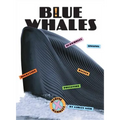 Blue Whales