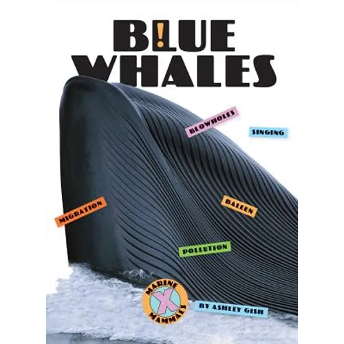Blue Whales