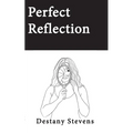 Perfect Reflection