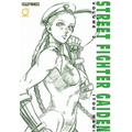 Street Fighter Gaiden, Volume 2