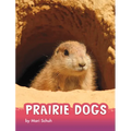 Prairie Dogs
