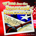 What Are the Branches of Government?