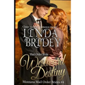 Mail Order Bride: Westward Destiny: A Clean Historical Mail Order Bride Romance Novel
