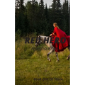Red Hero: Story of a Girl from a Hidden Hero to a Teenage Queen