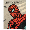 Spider-Man: Panel by Panel