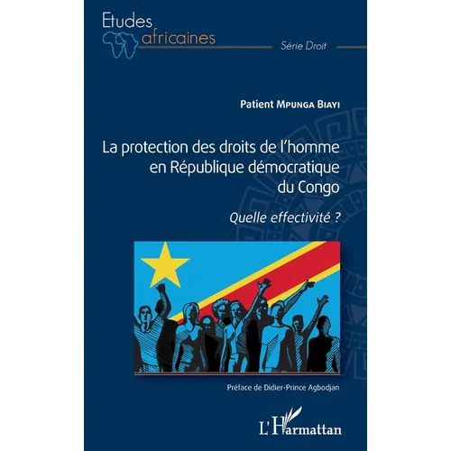 La protection des droits de l'homme en République démocratique du Congo: Quelle effectivité ?
