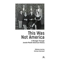 This Was Not America: A Wrangle Through Jewish-Polish-American History