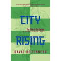 City Rising - Volume 3: The Ivory Compact