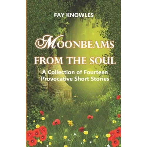 Moonbeams from the Soul: A Collection of Fourteen Provocative Short Stories